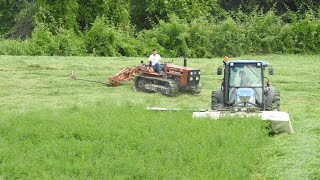 Sfalcio erba medica secondo taglio. New Holland T4050 + BCS + JF STOOL. New Holland 72-85 + FBA.