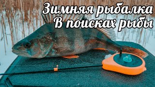 Зимняя рыбалка 2020. В поисках рыбы. Окунь и плотва на мормышку. Щука на жерлицы.