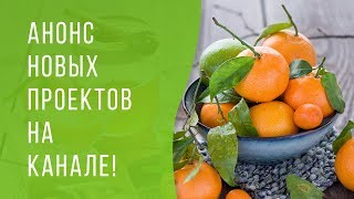 АНОНС НОВЫХ ПРОЕКТОВ на канале!