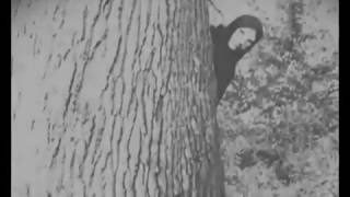 Kriegsmaschine - Beyond the Vail