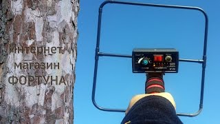 Дешевый глубинник - тест металлоискателя Кощей 5ИГ