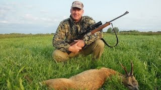Охота на косулю. Охота с подхода. Naturehunters.ru