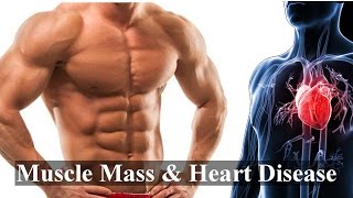 Muscle Mass & Death From Heart Disease