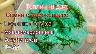 Теплицы для Аквариумных растений/ небольшие изменения в моем аквариуме