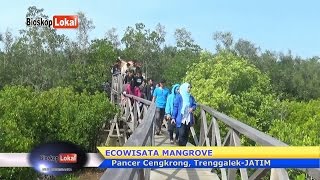 Exotisme Ecowisata Mangrove Pancer Cengkrong - Trenggalek JATIM