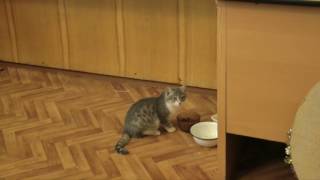 Средний Васюган Люди Севера