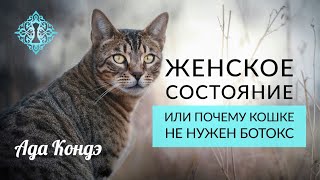 ЖЕНСКОЕ СОСТОЯНИЕ ИЛИ ПОЧЕМУ КОШКЕ НЕ НУЖЕН БОТОКС.  Ада Кондэ