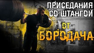 Приседания со штангой от Бородача. Вред тренировки ног у зеркала