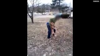Dog abuse goes viral, 'Honor' saved