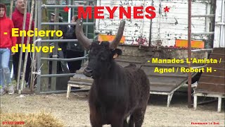 MEYNES-Encierro d'Hiver-01/02/2020-L'Amista/Agnel/Robert H