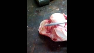 тест ножа. рубим кости. сталь 40х13
