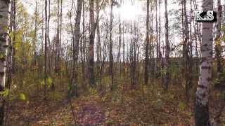По грибы - Мордовия село Новоямское