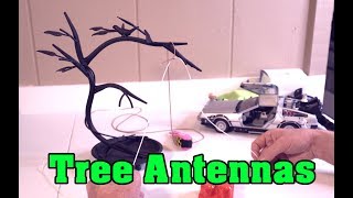 Wire Antenna into Tree Advice ~ 100+ Feet!!!