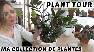 PLANT TOUR #2 | MA COLLECTION DE PLANTES D'INTÉRIEUR : SUITE ET FIN
