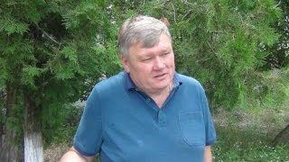 Экспорт шкур норки из Украины. Фермер Казацкий Д.Г.