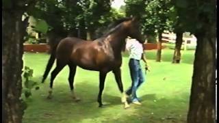 Inter Dominion Grand Final - 1977 and 1981