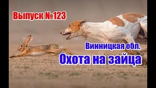 Охота на зайца | Винницкая область | Выпуск №123 (UKR)