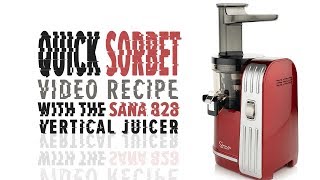 Sana 828 quick sorbet recipe