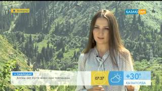 Шетелдіктердің Қазақ елі туралы пікірі