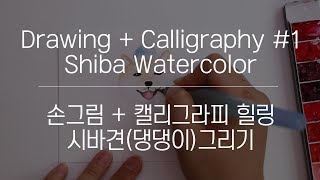 Drawing + Calligraphy #1 Shiba watercolor 시바견(댕댕이) 그리기 : 손그림 + 캘리그라피 힐링