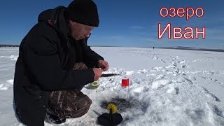 Ловля щуки в марте на жерлицы. Озеро Иван.