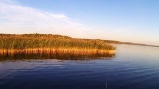 Вуокса. Рыбалка в Ленинградской обл. на реке Вуокса.