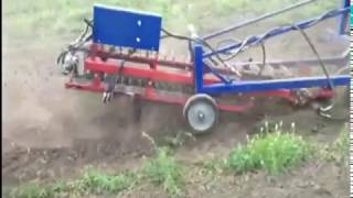 Комбайн для выкопки однозубки