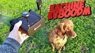 Eachine EV800DM ну и как вам новинка??? ( Перезаписал обзор)