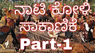 Nati koli PART1 ನಾಟಿ ಕೋಳಿ ಸಾಕಾಣಿಕೆ ಬಾಗ 1 963237೭೨೭೫