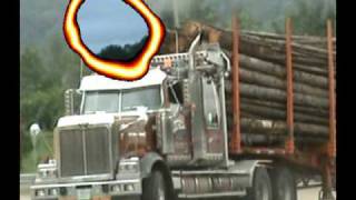 Les transporteurs forestier