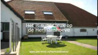 Texel Overnachten Met Honden