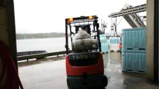 Work and Travel: Завод "Seafoods" на Аляске, Кетчикан