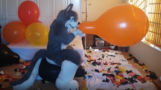 Blow to pop Qualatex 24''