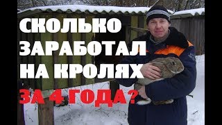 Мой заработок на кроликах за 4 года .