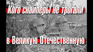 Неписаные правила стрелков: кого снайперы не трогали в Великую Отечественную