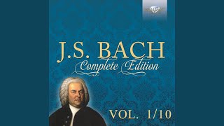 Concerto in D Major for Three Violins, Strings and B.C., BWV 1064: I. Allegro