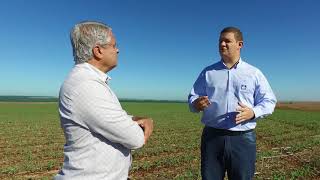Engenheiro agrônomo dá dicas sobre adubação suplementar