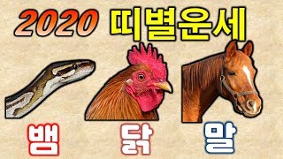 [경자년 운세] 2020년? 조심해야할 띠 / 뱀띠 닭띠 말띠 신년 운세