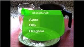 Como Hacer Té de Orégano