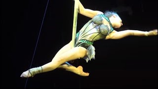 Circus. Aerialists. Цирк. Воздушные гимнастки.