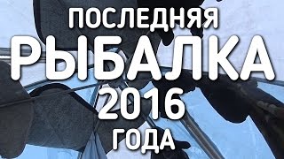 ПОСЛЕДНЯЯ РЫБАЛКА В 2016 ГОДУ