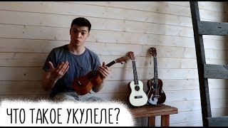 ЧТО ТАКОЕ УКУЛЕЛЕ? Сравнение укулеле сопрано, концерт и тенор