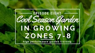 How to Grow a Cool Season Garden in Zones 7 and 8