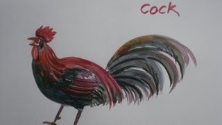 How to paint cock by using watercolor