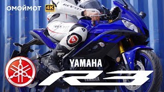 Новая YAMAHA R3 — ТОП для новичка! Тест-драйв мотоцикла Ямаха | Омоймот