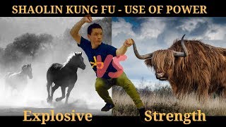 Shaolin Lian Huan Quan | 连环拳 - Kung Fu Explosive Power & Application Tips