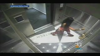 Video Shows Woman Stomping, Kicking Dog In Elevator