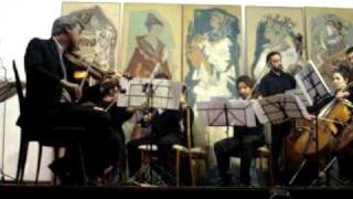 Strauss - Seleccion de Valses (Orquesta de camara municipal de Alte.Brown)