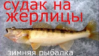 Зимняя рыбалка. Ловля судака на жерлицы.Подлещик на кивок