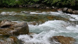 Wilderness Sites Preview and River Dog Rock